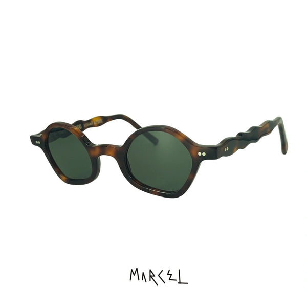 SCHOLAR "Tortuga Verde"