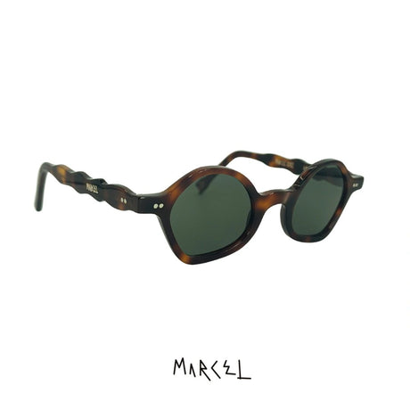 SCHOLAR "Tortuga Verde"