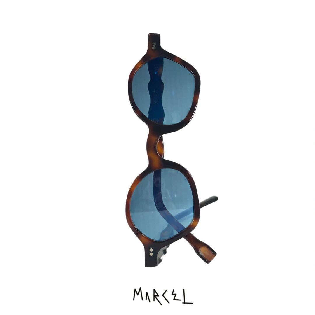 SCHOLAR "Tortuga Verde"