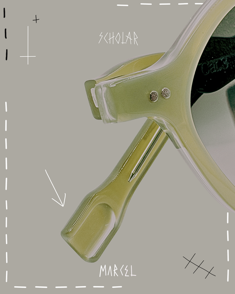 SCHOLAR TORTORA NEBBIA | Édition d’Artiste