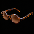 MARCEL Scholar Study 06220 brown tortoiseshell sunglasses with brown lenses, three-quarter view on black.