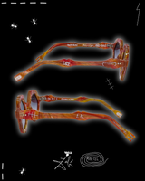 FORMICA PHEONIX · Édition d’Artiste