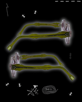 FORMICA SERGENT · Édition d’Artiste