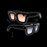 GUARDIAN II Edition D'Artiste / Artist Proof